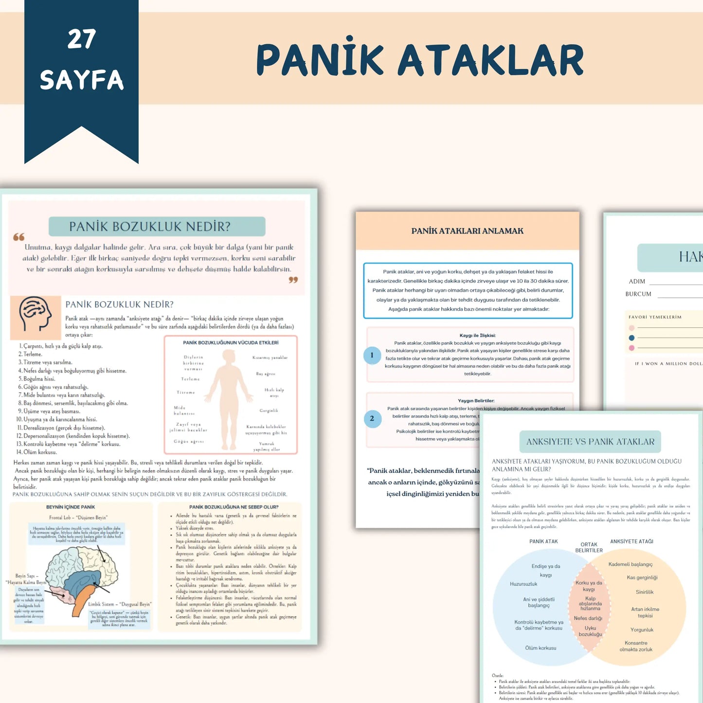 Panik Atak İnfografik ve Çalışma Sayfaları