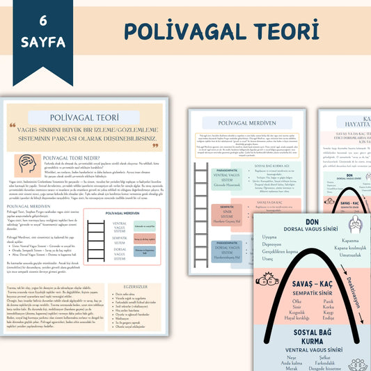 Polivagal Teori Notları